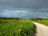 Road along North Shore